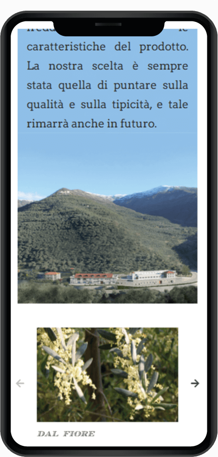visualizzazione mobile sito web Olio Anfosso